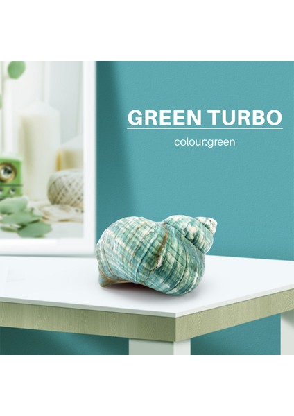 10 cm Yeşil Turbo Doğal Nadir Gerçek Deniz Kabuğu Kabuklu Çarpıcı Şifa Dekor Okyanus 1 Adet (Yurt Dışından) fiyatları