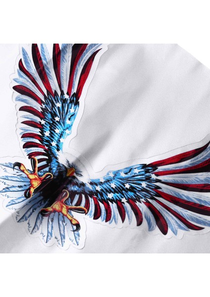 1 Takım/4 Adet Araba Çıkartması Uçan Şahin Oto Kamyon Kaputu Yan Kartal Abd Bayrağı Etiket (Yurt Dışından) modelleri