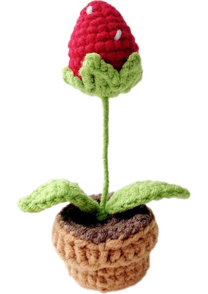 C El Örgüsü Çiçekler Saksı Tığ Işi Yapay Bitkiler Bitmiş Dokuma Hediye (Yurt Dışından)