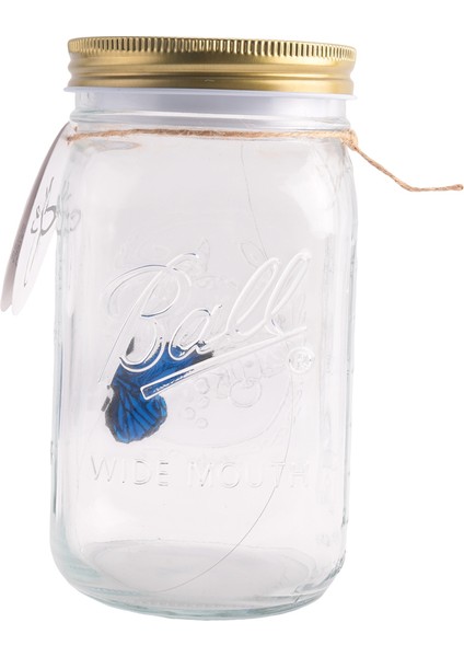 Kavanozda Simülasyon Kelebek Koleksiyonu, Hareket Eden Kelebek Kavanozu, LED Işık Romantik Cam Animasyonlu Kelebek Mavi (Yurt Dışından)