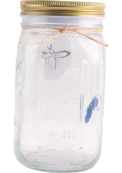 Kavanozda Simülasyon Kelebek Koleksiyonu, Hareket Eden Kelebek Kavanozu, LED Işık Romantik Cam Animasyonlu Kelebek Mavi (Yurt Dışından) fiyatları