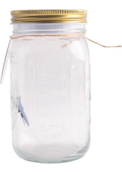 Kavanozda Simülasyon Kelebek Koleksiyonu, Hareket Eden Kelebek Kavanozu, LED Işık Romantik Cam Animasyonlu Kelebek Mavi (Yurt Dışından) modelleri