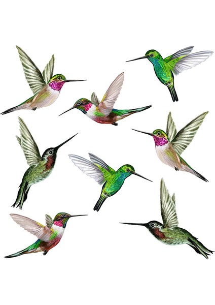 8 Büyük Güzel Sinek Kuşu Statik Pencere Etiketi Çıkartmaları Sinek Kuşu Anti Çarpışma Kuş Grev Pencere Çıkartmaları (Yurt Dışından)