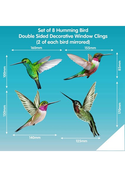 8 Büyük Güzel Sinek Kuşu Statik Pencere Etiketi Çıkartmaları Sinek Kuşu Anti Çarpışma Kuş Grev Pencere Çıkartmaları (Yurt Dışından) fırsatları