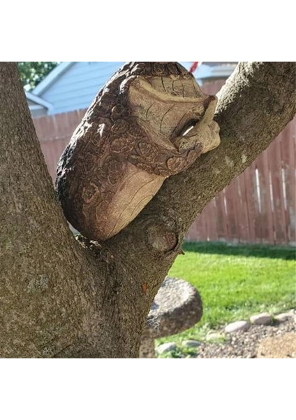 Sessiz Kurbağa Ağaç Gözetleme Bahçe Ağaç Heykelleri Açık Hava Ağaç Yüzü Bahçe Ağaç Kucaklayıcı Heykeli Iç Mekan Açık Hava Bahçe A (Yurt Dışından) modelleri