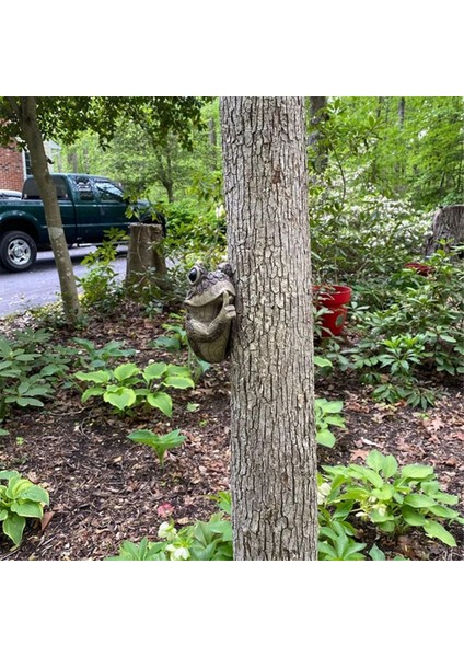 Sessiz Kurbağa Ağaç Gözetleme Bahçe Ağaç Heykelleri Açık Hava Ağaç Yüzü Bahçe Ağaç Kucaklayıcı Heykeli Iç Mekan Açık Hava Bahçe A (Yurt Dışından) indirimleri