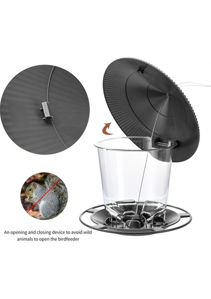 Kuş Yemlikleri Açık Havada Asılı Sincap Geçirmez Kolay Temizlenebilir ve Doldurulabilir Ayarlanabilir Yemlik Çok Delikli Dağıtıcı Tutucu Gıda B (Yurt Dışından) fırsatları