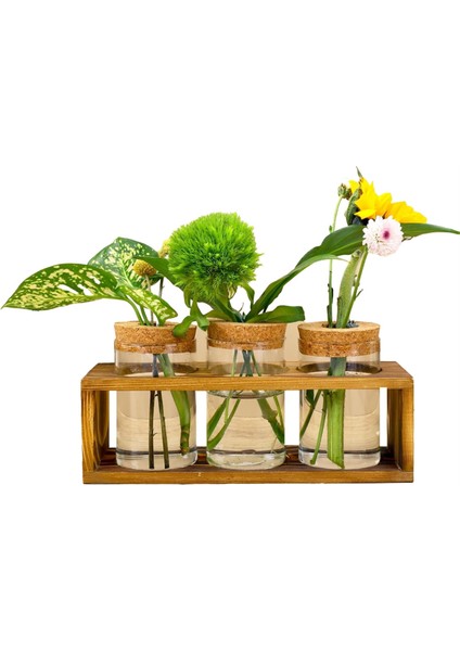 Üreme Istasyonu, Bitki Kesimi Için Cam Bitki Teraryumu, Ev Dekorunu Geliştirir, Bitki Severler Için Mükemmel Iç Mekan Orta Parçası (Yurt Dışından)