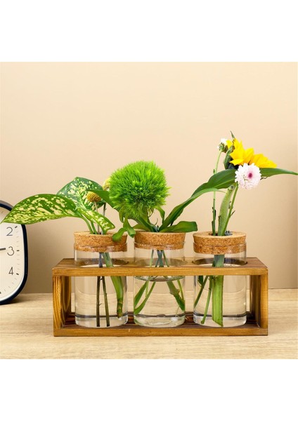 Üreme Istasyonu, Bitki Kesimi Için Cam Bitki Teraryumu, Ev Dekorunu Geliştirir, Bitki Severler Için Mükemmel Iç Mekan Orta Parçası (Yurt Dışından) fiyatları