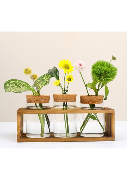 Üreme Istasyonu, Bitki Kesimi Için Cam Bitki Teraryumu, Ev Dekorunu Geliştirir, Bitki Severler Için Mükemmel Iç Mekan Orta Parçası (Yurt Dışından) fırsatları