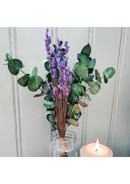 15 Adet Kurutulmuş Korunmuş Okaliptüs Sapları ve Duş Için Lavanta Çiçekleri Paketleri, 17IN Okaliptüs Yaprakları Duş Tesisi Kaynaklanıyor (Yurt Dışından) modelleri