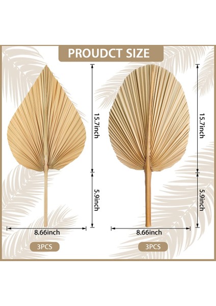 6 Adet Kurutulmuş Palmiye Yaprakları Kurutulmuş Palmiye Yaprakları Süslemeleri Ev Için Kalp ve Yuvarlak Şekil Kurutulmuş Bitkiler Kesilmiş Boho Palmiye (Yurt Dışından) fiyatları