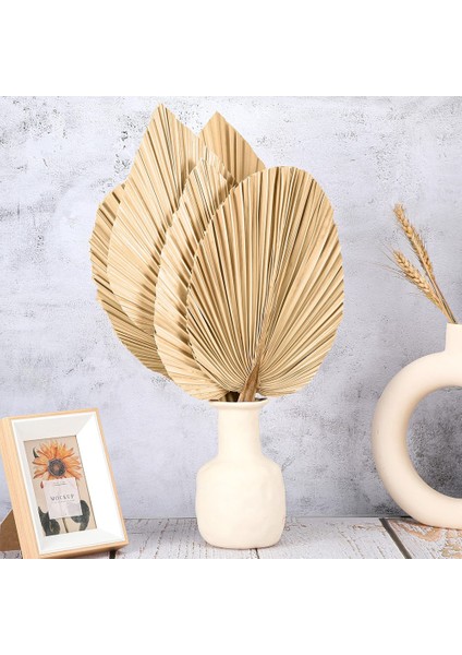 6 Adet Kurutulmuş Palmiye Yaprakları Kurutulmuş Palmiye Yaprakları Süslemeleri Ev Için Kalp ve Yuvarlak Şekil Kurutulmuş Bitkiler Kesilmiş Boho Palmiye (Yurt Dışından) indirimleri