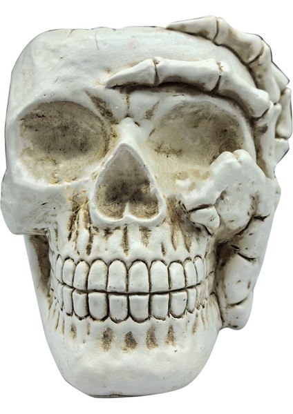 Ev Dekorasyonu Kafatası Saksı, Iç Mekan Küçük Saksı, Iç Mekan Bitki Mini Saksı, Bahçe Sukulent Saksısı (A) (Yurt Dışından)