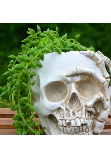 Ev Dekorasyonu Kafatası Saksı, Iç Mekan Küçük Saksı, Iç Mekan Bitki Mini Saksı, Bahçe Sukulent Saksısı (A) (Yurt Dışından) fiyatları