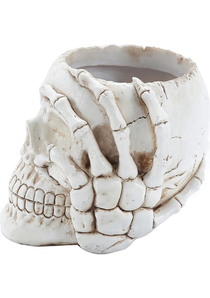 Ev Dekorasyonu Kafatası Saksı, Iç Mekan Küçük Saksı, Iç Mekan Bitki Mini Saksı, Bahçe Sukulent Saksısı (A) (Yurt Dışından) modelleri