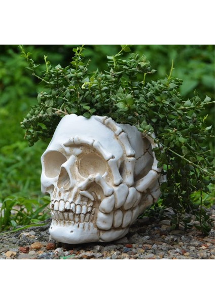 Ev Dekorasyonu Kafatası Saksı, Iç Mekan Küçük Saksı, Iç Mekan Bitki Mini Saksı, Bahçe Sukulent Saksısı (A) (Yurt Dışından) fırsatları