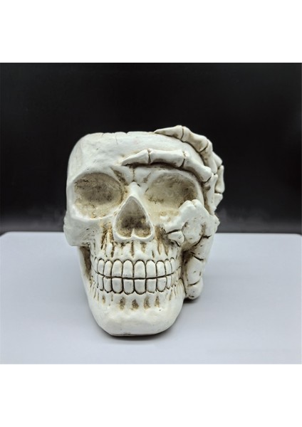 Ev Dekorasyonu Kafatası Saksı, Iç Mekan Küçük Saksı, Iç Mekan Bitki Mini Saksı, Bahçe Sukulent Saksısı (A) (Yurt Dışından) indirimleri