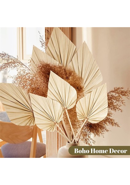 20 Adet Boho Kurutulmuş Palmiye Mızrak Yaprakları, Küçük Kurutulmuş Gerçek Palmiye Yelpazeleri, Saplı Kurutulmuş Palmiye Yaprakları Kurutulmuş Yaprak Dekor Vazosu (Yurt Dışından) fırsatları