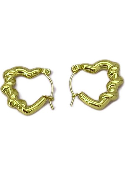 16 Fransız Vintage Paslanmaz Çelik Kadın Küpe Modeli (Yurt Dışından)