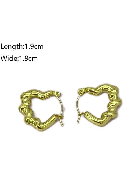 16 Fransız Vintage Paslanmaz Çelik Kadın Küpe Modeli (Yurt Dışından) fiyatları