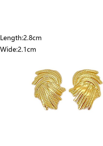 70ŞIK ve Hafif, Lüks Paslanmaz Çelik Kadın Küpeleri (Yurt Dışından) fiyatları