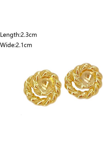 46ŞIK ve Hafif, Lüks Paslanmaz Çelik Kadın Küpeleri (Yurt Dışından) fiyatları