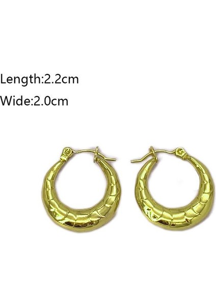 09 Fransız Vintage Paslanmaz Çelik Kadın Küpe Modeli (Yurt Dışından) fiyatları