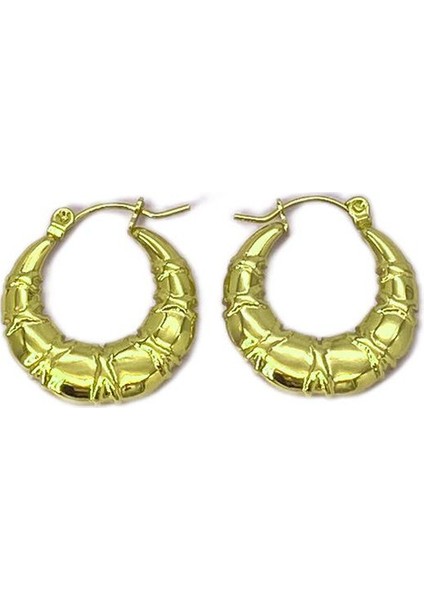 10 Fransız Vintage Paslanmaz Çelik Kadın Küpe Modeli (Yurt Dışından)