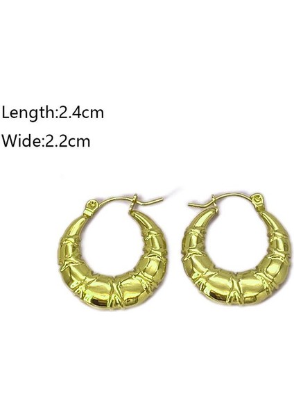 10 Fransız Vintage Paslanmaz Çelik Kadın Küpe Modeli (Yurt Dışından) fiyatları