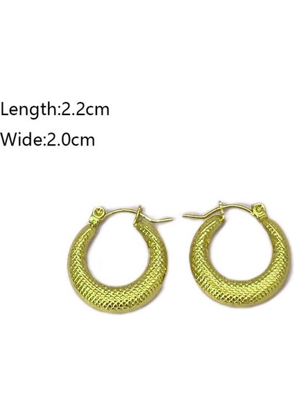 07 Fransız Vintage Paslanmaz Çelik Kadın Küpe Modeli (Yurt Dışından) fiyatları