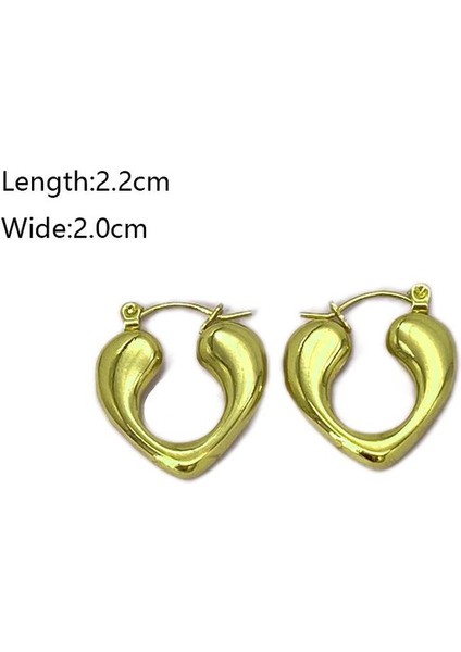 23 Fransız Vintage Paslanmaz Çelik Kadın Küpe Modeli (Yurt Dışından) fiyatları