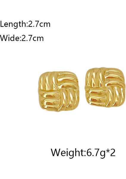 32ŞIK ve Hafif, Lüks Paslanmaz Çelik Kadın Küpeleri (Yurt Dışından) fiyatları