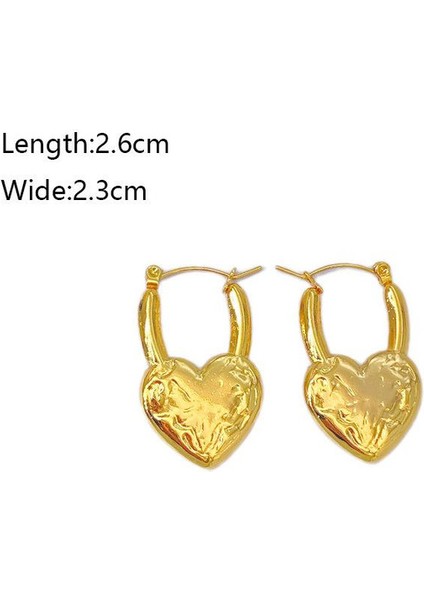 59 Fransız Vintage Paslanmaz Çelik Kadın Küpe Modeli (Yurt Dışından) fiyatları