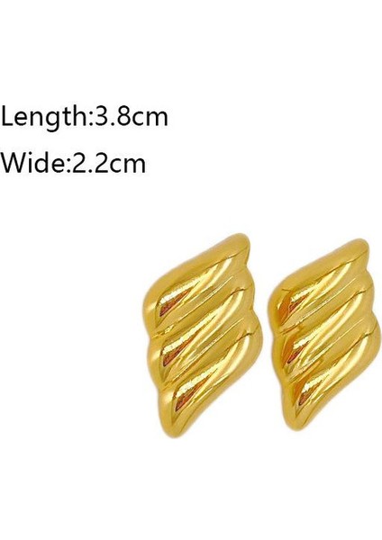 78ŞIK ve Hafif, Lüks Paslanmaz Çelik Kadın Küpeleri (Yurt Dışından) fiyatları