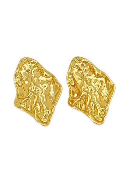 69ŞIK ve Hafif, Lüks Paslanmaz Çelik Kadın Küpeleri (Yurt Dışından)