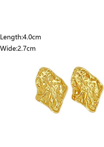 69ŞIK ve Hafif, Lüks Paslanmaz Çelik Kadın Küpeleri (Yurt Dışından) fiyatları