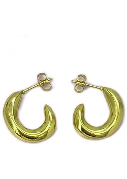 25 Fransız Vintage Paslanmaz Çelik Kadın Küpe Modeli (Yurt Dışından)