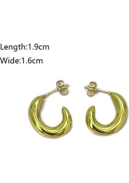 25 Fransız Vintage Paslanmaz Çelik Kadın Küpe Modeli (Yurt Dışından) fiyatları