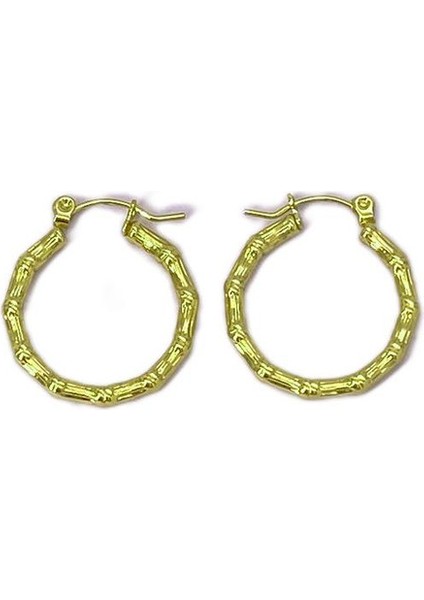 05 Fransız Vintage Paslanmaz Çelik Kadın Küpe Modeli (Yurt Dışından)