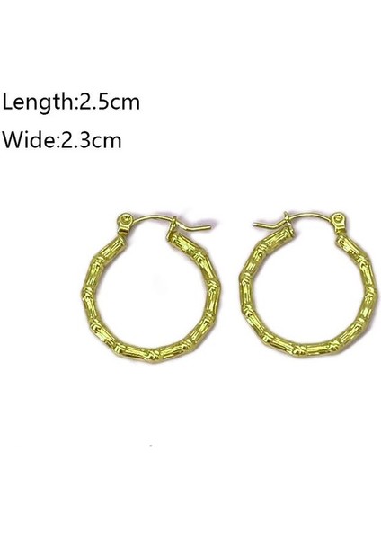 05 Fransız Vintage Paslanmaz Çelik Kadın Küpe Modeli (Yurt Dışından) fiyatları