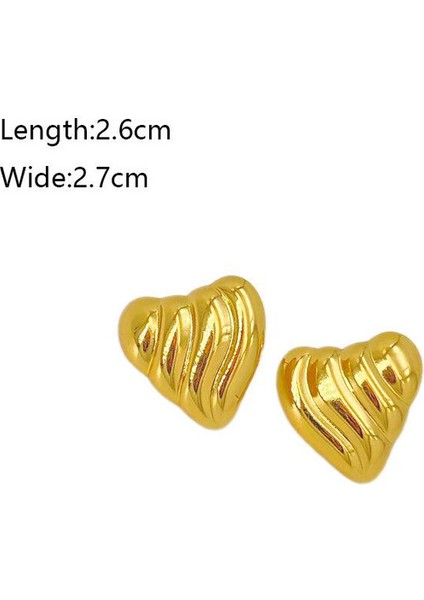 74ŞIK ve Hafif, Lüks Paslanmaz Çelik Kadın Küpeleri (Yurt Dışından) fiyatları