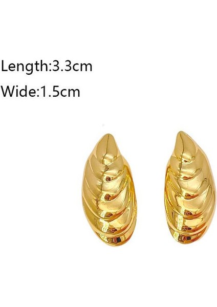 61ŞIK ve Hafif, Lüks Paslanmaz Çelik Kadın Küpeleri (Yurt Dışından) fiyatları