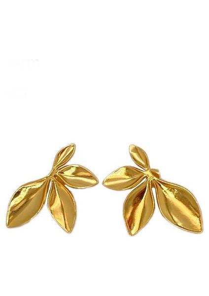 6şık ve Hafif, Lüks Paslanmaz Çelik Kadın Küpeleri (Yurt Dışından)