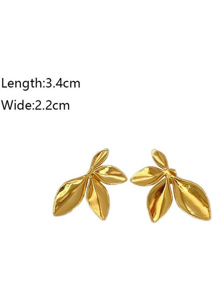 6şık ve Hafif, Lüks Paslanmaz Çelik Kadın Küpeleri (Yurt Dışından) fiyatları