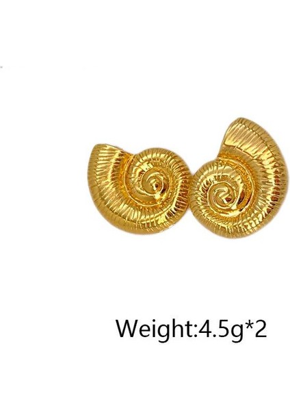 3şık ve Hafif, Lüks Paslanmaz Çelik Kadın Küpeleri (Yurt Dışından) fiyatları