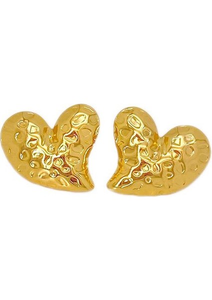 42ŞIK ve Hafif, Lüks Paslanmaz Çelik Kadın Küpeleri (Yurt Dışından)