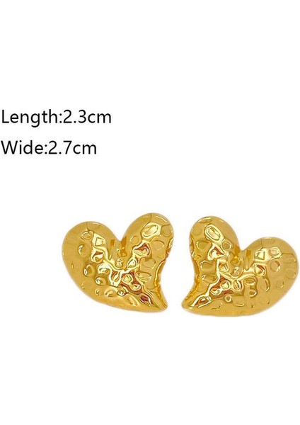 42ŞIK ve Hafif, Lüks Paslanmaz Çelik Kadın Küpeleri (Yurt Dışından) fiyatları