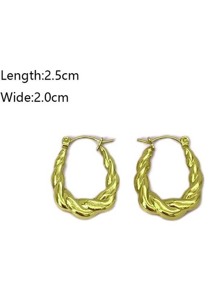 32 Fransız Vintage Paslanmaz Çelik Kadın Küpe Modeli (Yurt Dışından) fiyatları