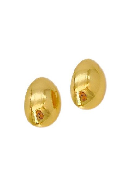 29ŞIK ve Hafif, Lüks Paslanmaz Çelik Kadın Küpeleri (Yurt Dışından)